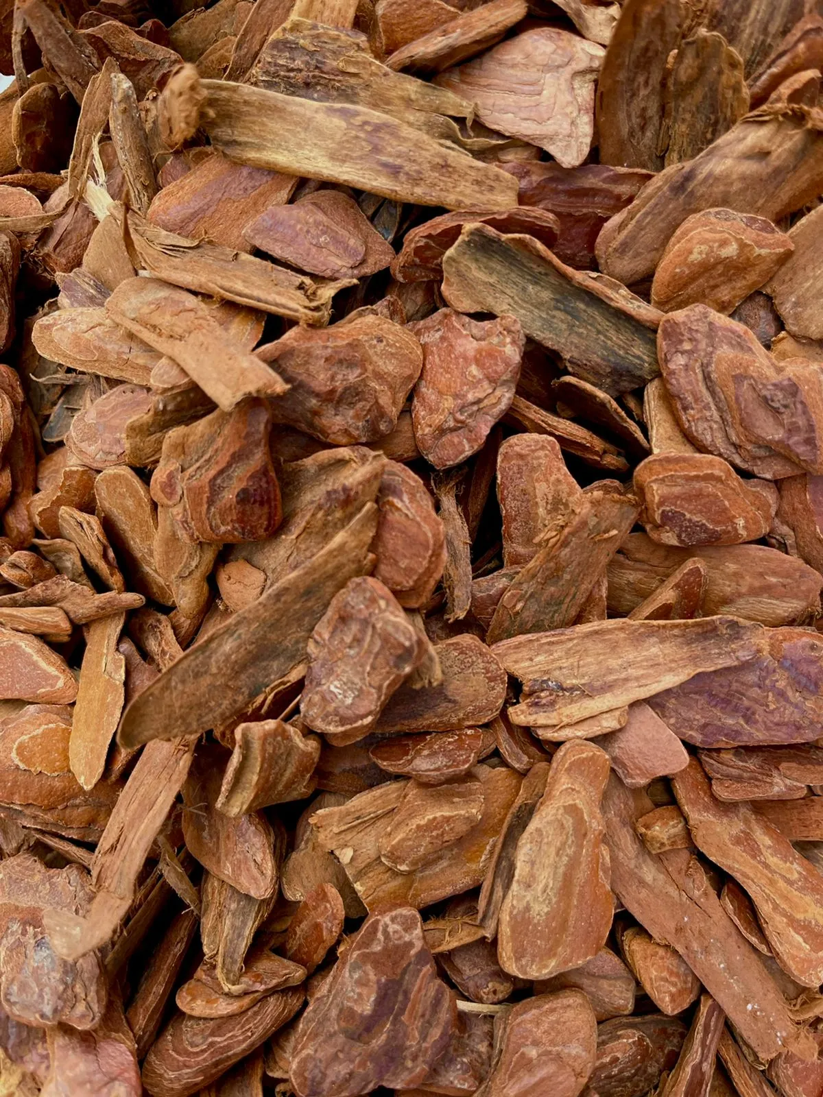 Casca de pinus vista de perto, em pedaços de tons avermelhados