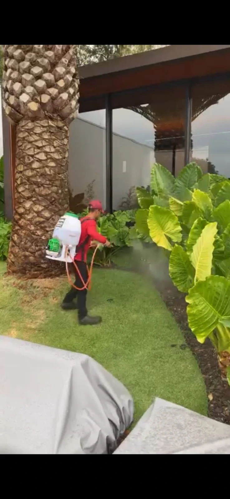 Profissional aplicando produto com pulverizador costal nas folhagens de um jardim