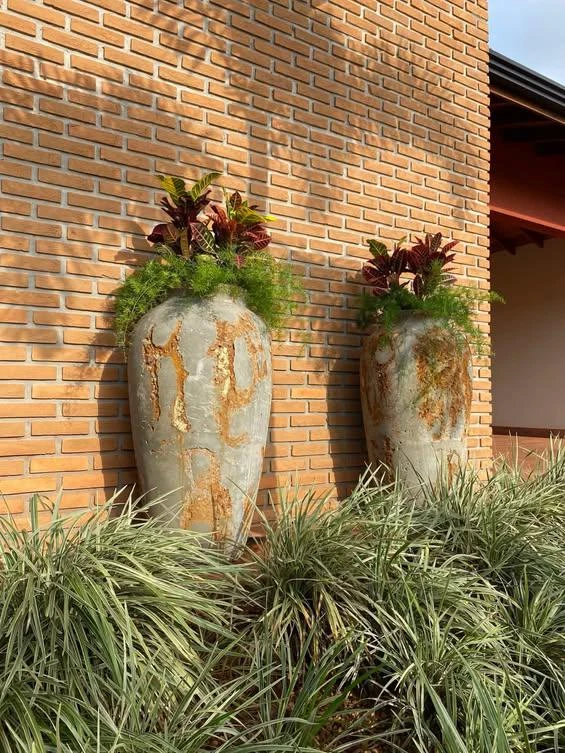 Dois vasos grandes com crótons e aspargos junto a uma parede de tijolos, com forração de capim ornamental